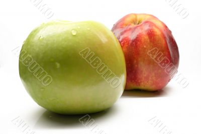 apple on a white background