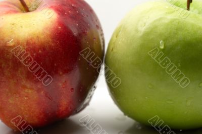 apple on a white background