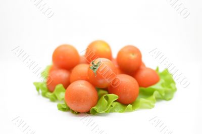 Cherry tomatoes with leaf lettuce