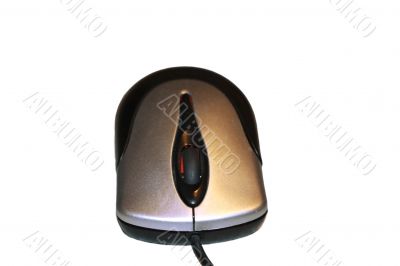 Black and white computer mouse isolated on the white background