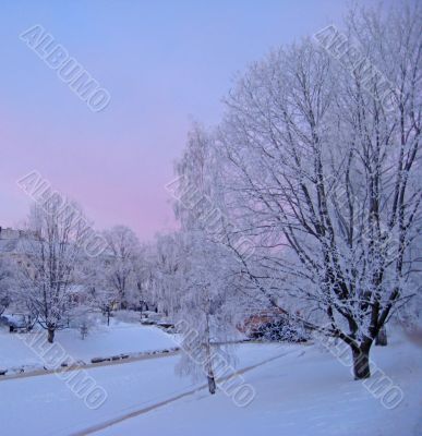 The frost in winter in Riga