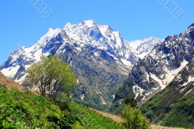 Caucasus mountains