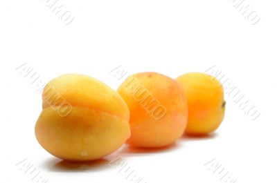 Juicy apricots on a white background