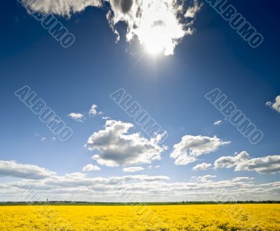 Sunshine
