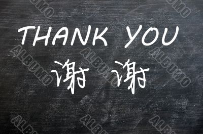 Thank you in English and Chinese