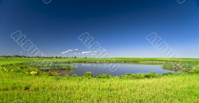 Countryside