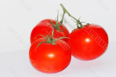 Tomatoes  