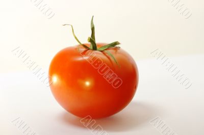 Tomatoes  