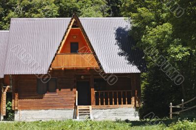 House in the meddle of the forest