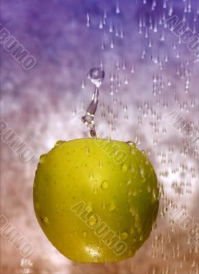 Apple