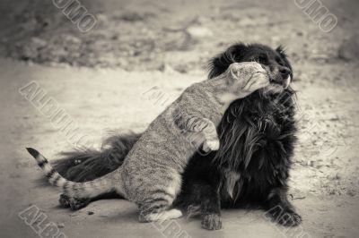 Kiss