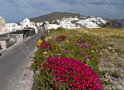 Way along Santorini island in spring