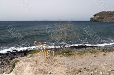 Rusty chair and dry tree