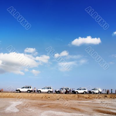 Wildlife Safari
