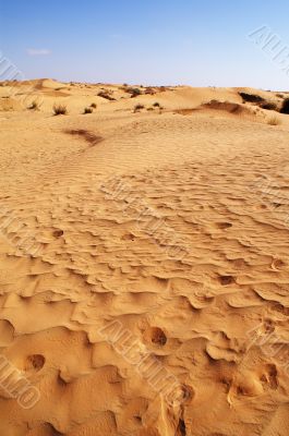 Sand in the desert