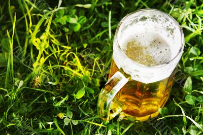 Mug of beer in green grass