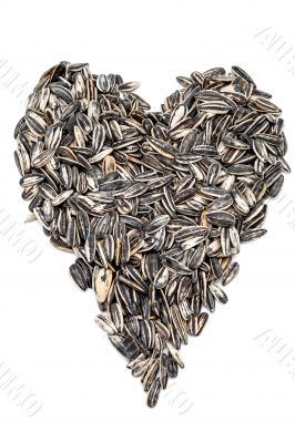 Sunflower seeds 