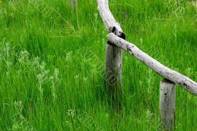 Wooden fence in the grassland
