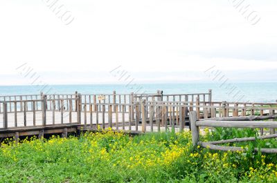 Wooden fence in the grassland