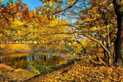 A small lake in the autumn forest