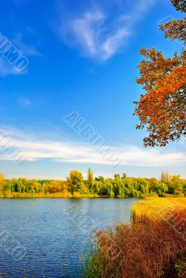 Autumn landscape at the lake