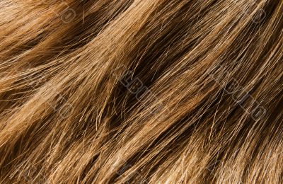 Hair texture