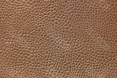 Leather texture