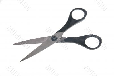 Scissors