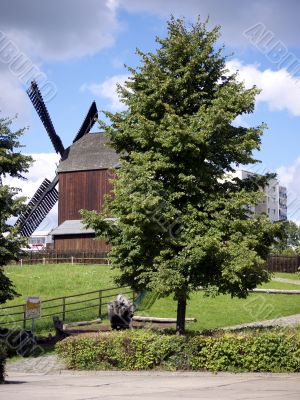 Bock windmill Marzahn and linden tree
