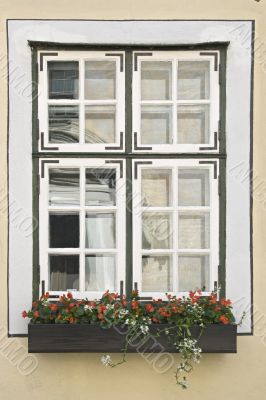 Window with flowers