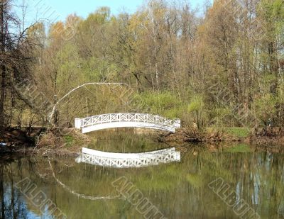 Bridge across the pond