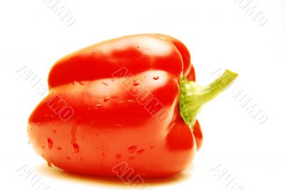 red ball pepper