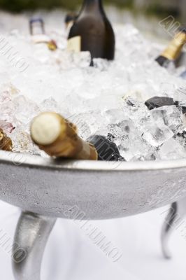 Bottles of champagne cooling on ice