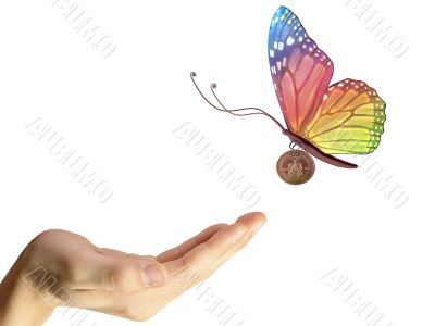 a butterfly with a coin