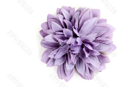 purple flower from tissue