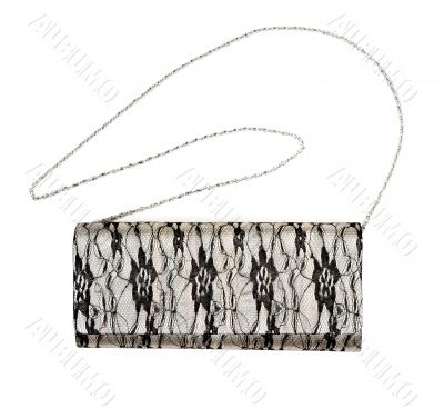 gray female clutch and chain