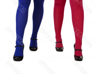 female legs in pantyhose