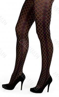 shapely female legs in pantyhose and shoes