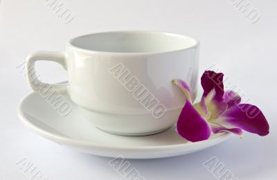 empty white cup and saucer and an orchid