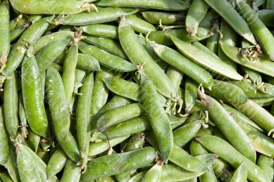 background peppers pea