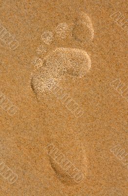 footprint in the sand on the beach
