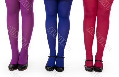 female legs in pantyhose