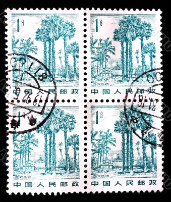 CHINA - CIRCA 1982: A stamp printed in China shows landscape in Xishuangbanna, circa 1982 