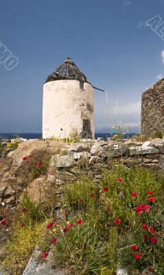 Windmill in spring