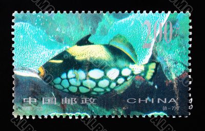 CHINA - CIRCA 1998: A Stamp printed in China shows coral reef fish , circa 1998