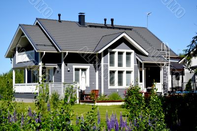 Scandinavian private house