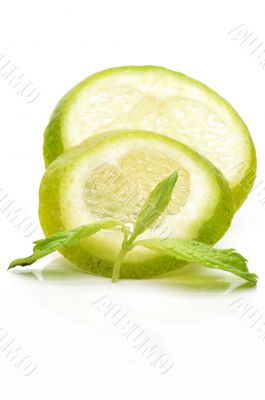 Slices of lime with a branch mint