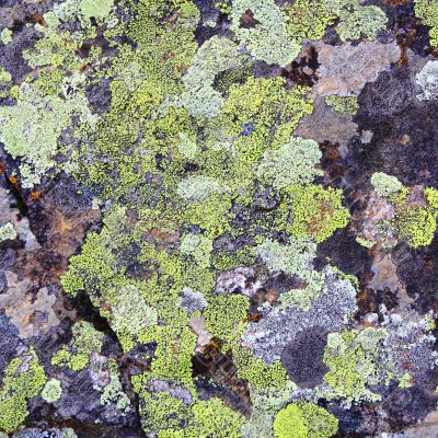 Texture