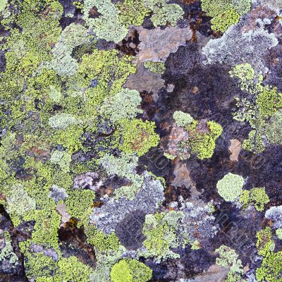 Texture
