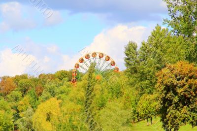 Image with wheel review